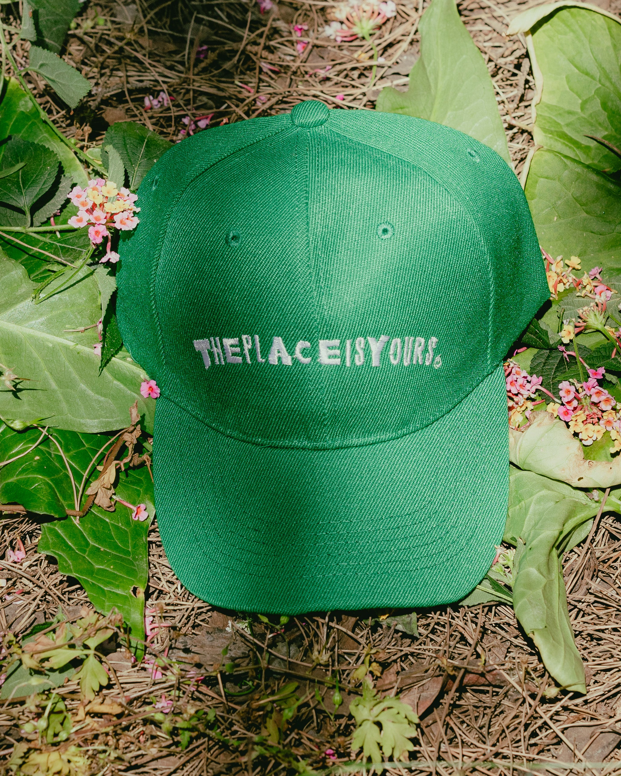 TPIY Caps