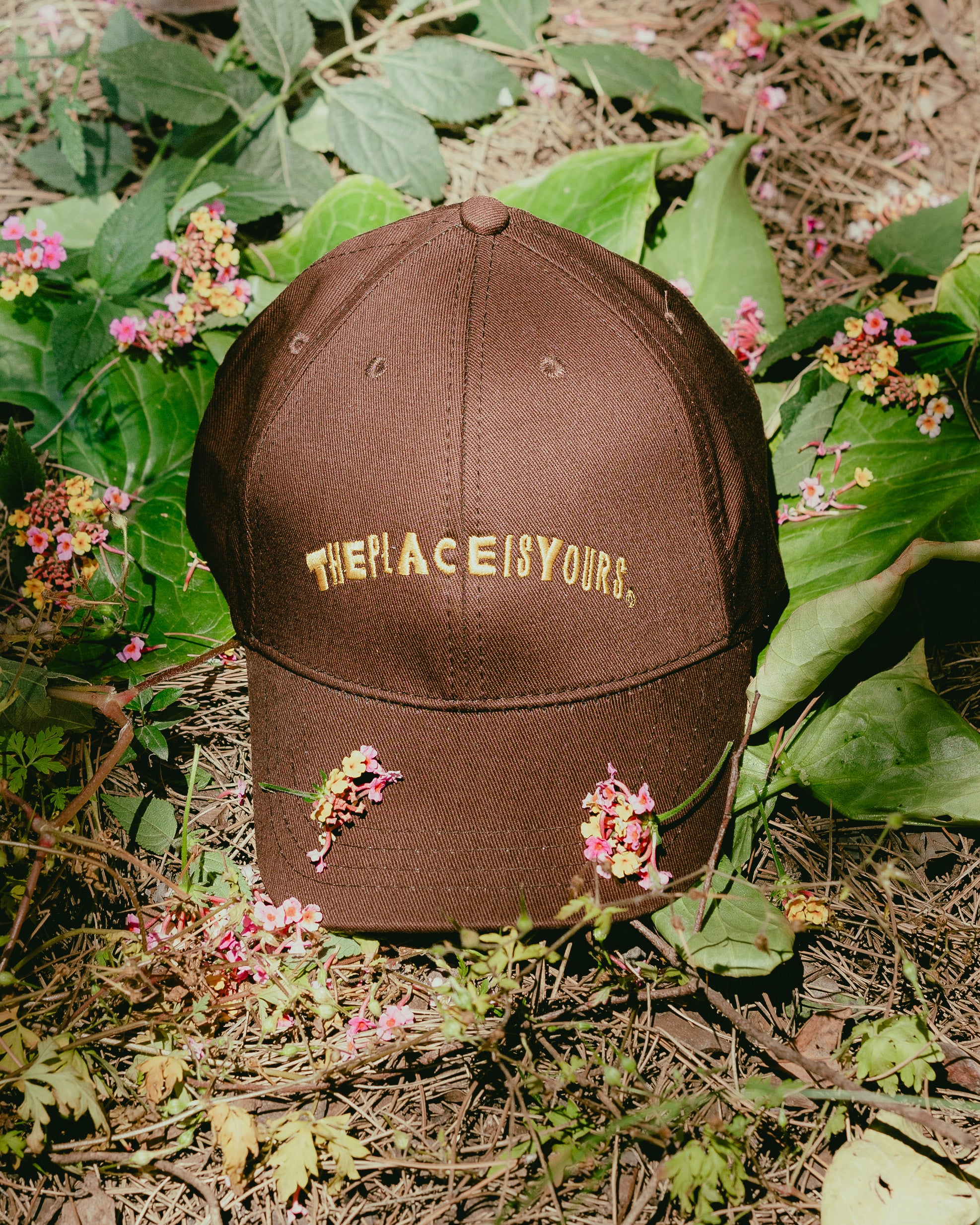 TPIY Caps
