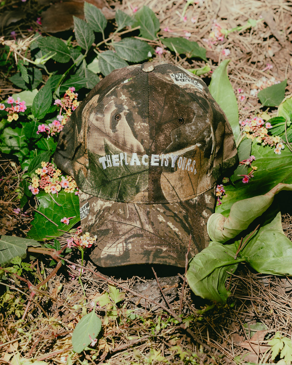 TPIY Caps