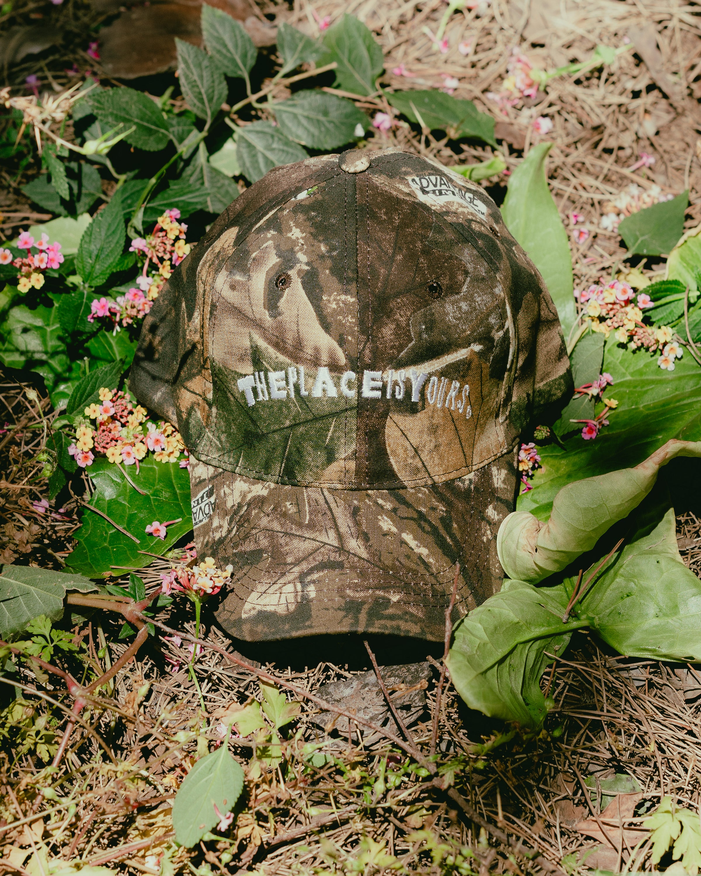 TPIY Caps