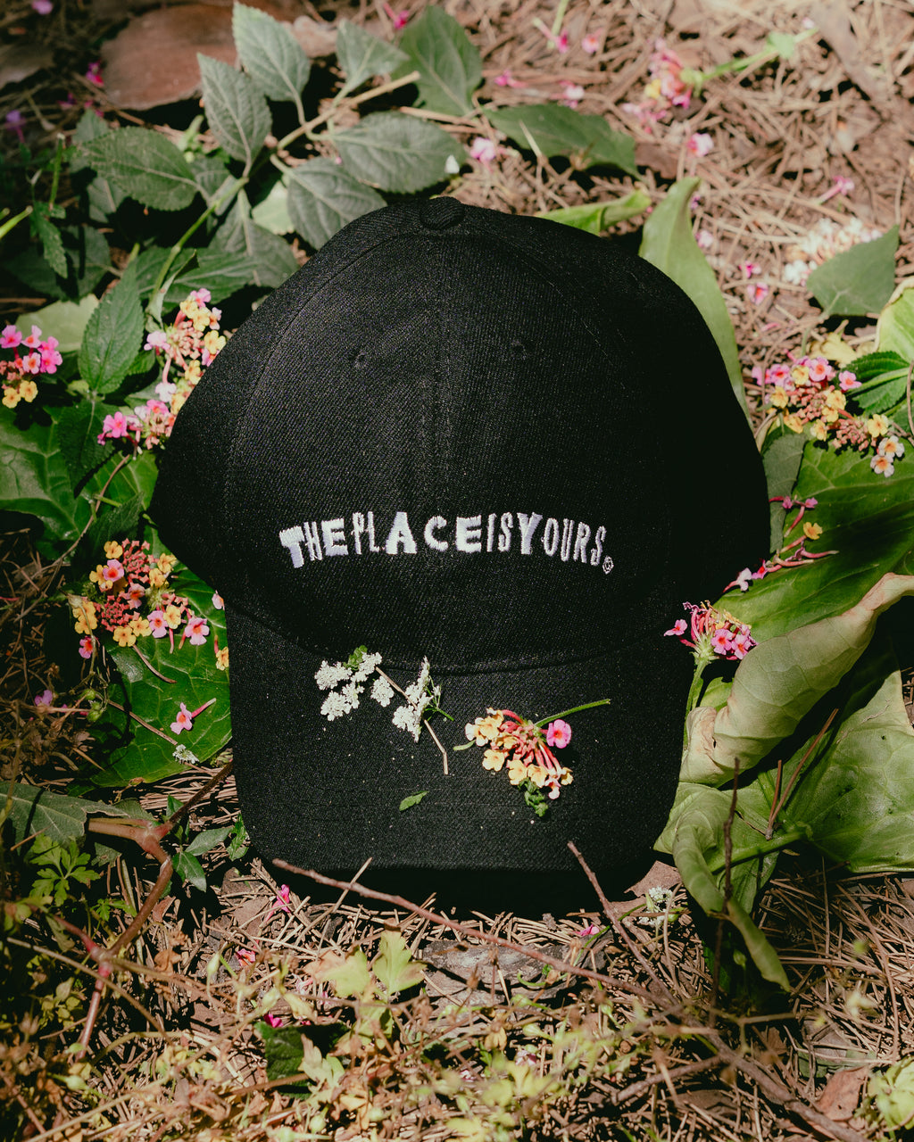 TPIY Caps